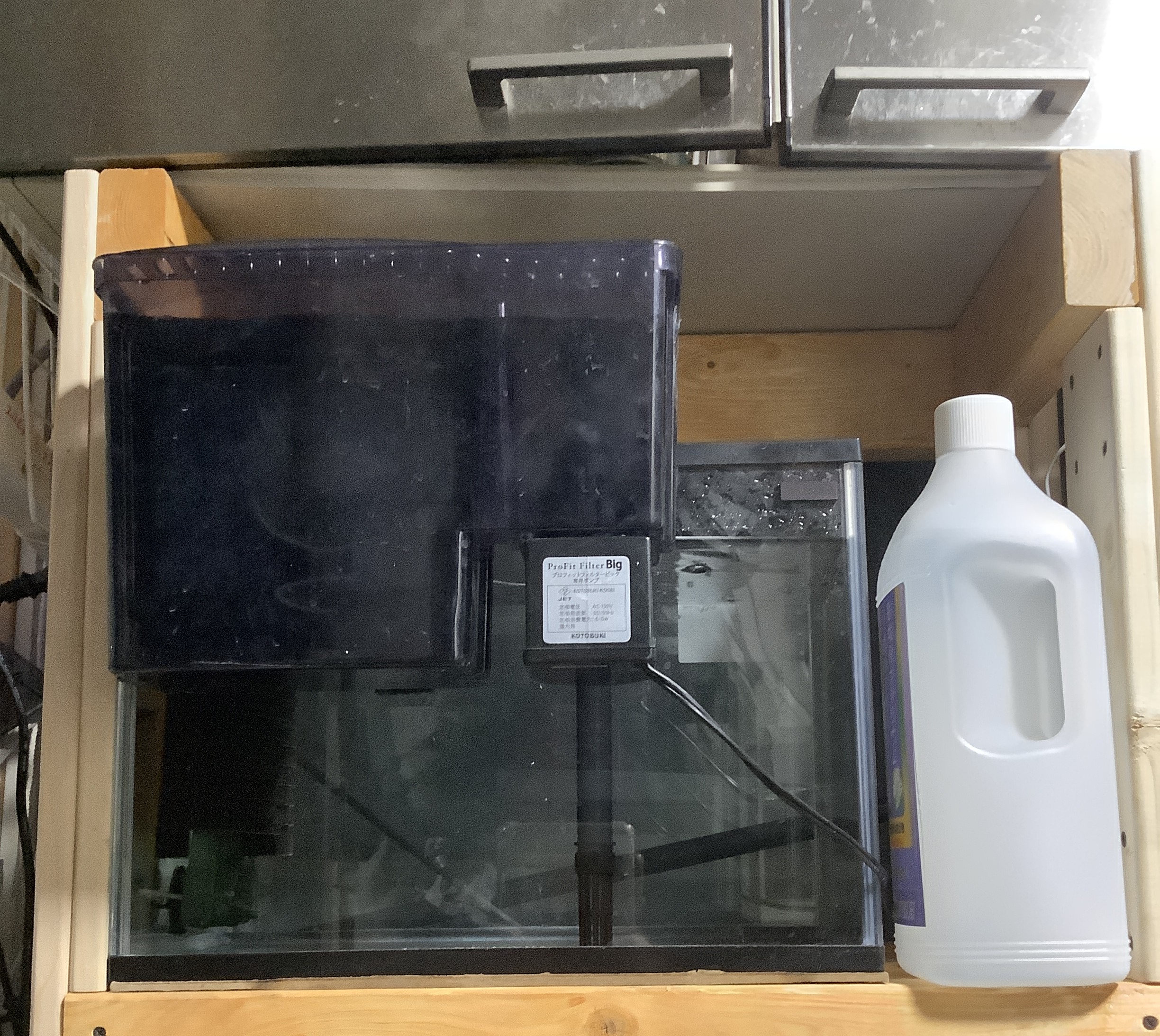 水槽台にセットした40cm水槽
