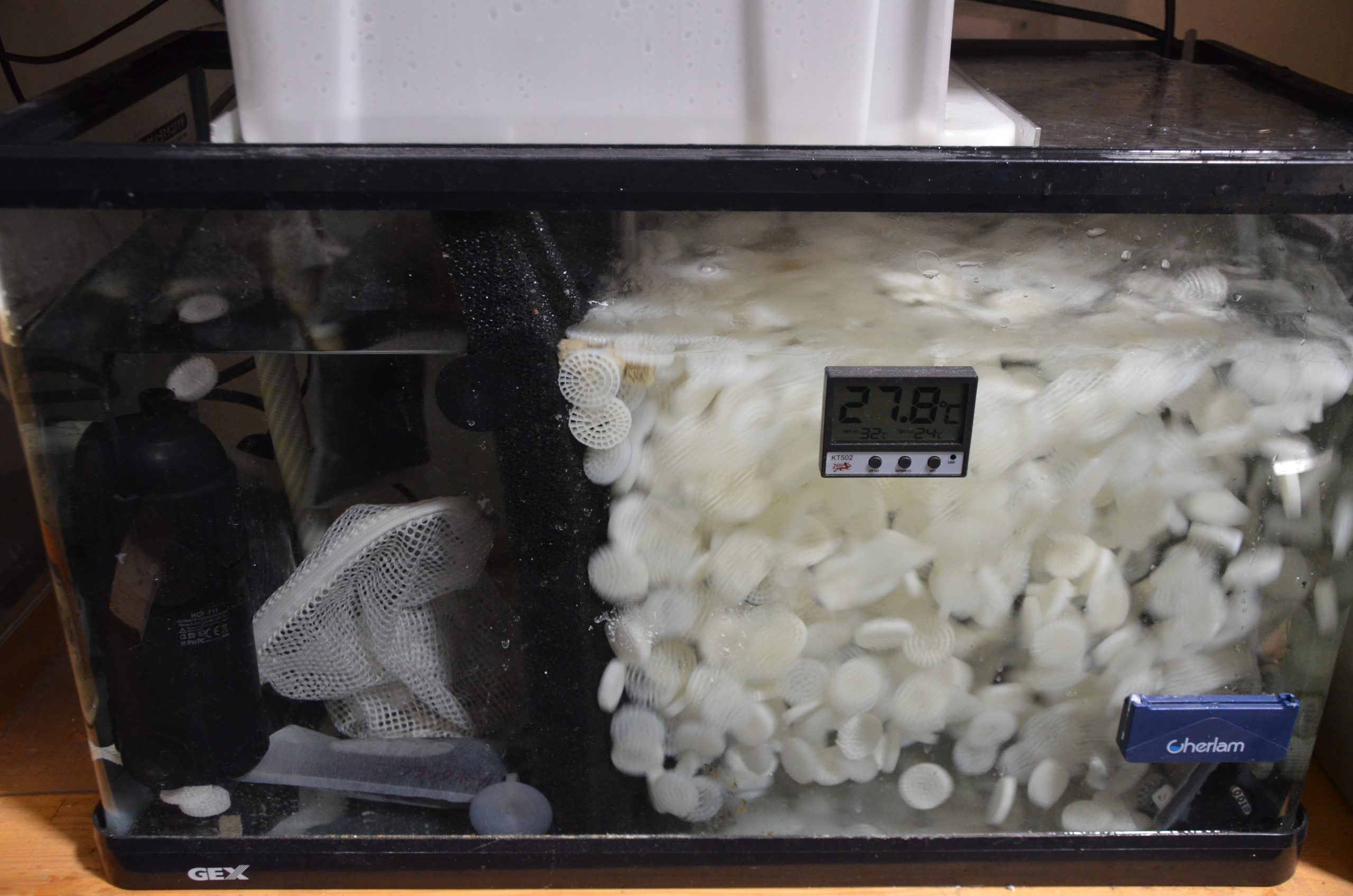 Filter sump of a 60cm GEX glass aquarium. Fluidized bed filtration using coarse CF mat.