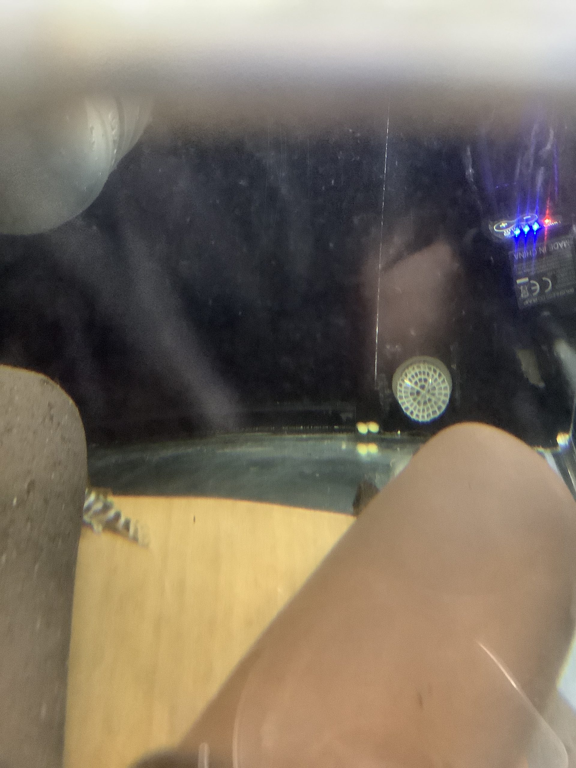 キンペコ水槽の奥に2匹の稚魚を発見!